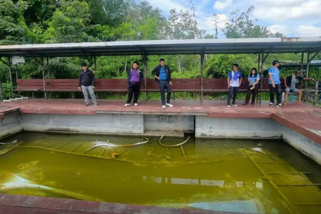 Phatthalung NACC Inspects Abandoned School Swimming Pool