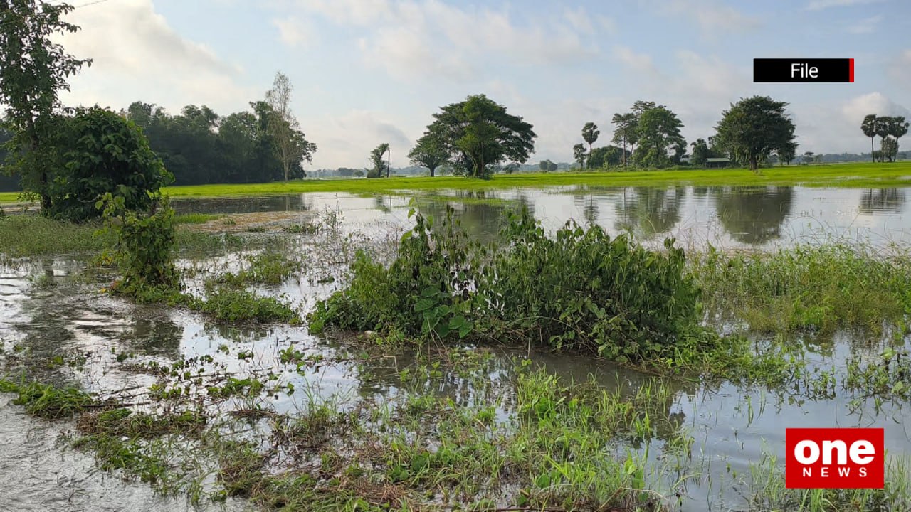 Plans to Restore and Replant Flooded Fields