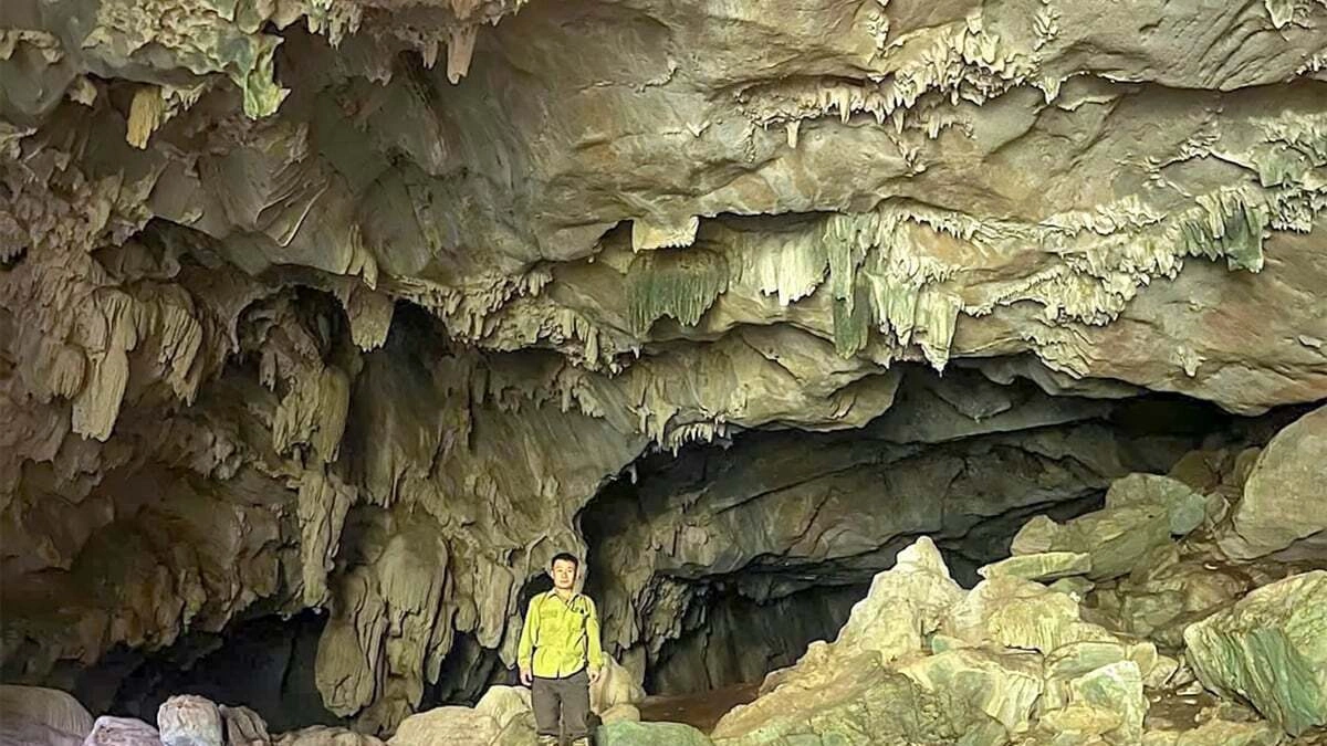Vast New Cave Discovered in Nghệ An's Primeval Forest, Potential for Conservation and Ecotourism Explored