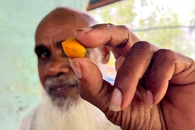 John Wompere, The Guardian of Agarwood from Imbari Village