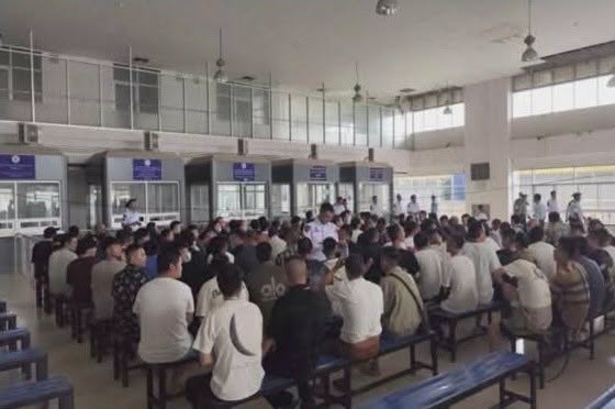 Provisional Government Minister Reports Chinese Nationals Entering Illegally and Engaging in Online Financial Fraud to Chinese Ambassador
