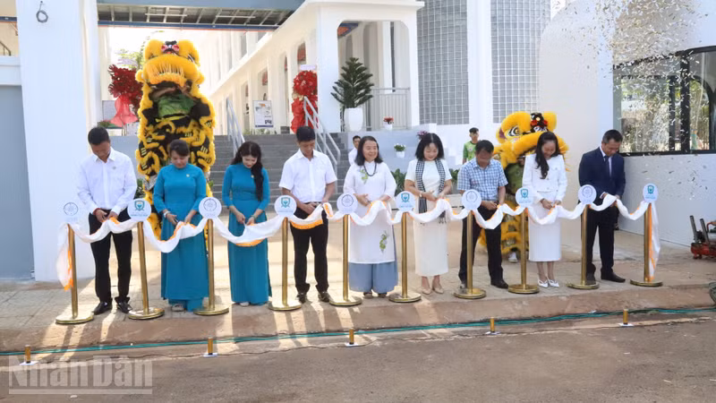 Two International Standard Primary Schools Inaugurated in Central Highlands, Boosting Regional Education Quality