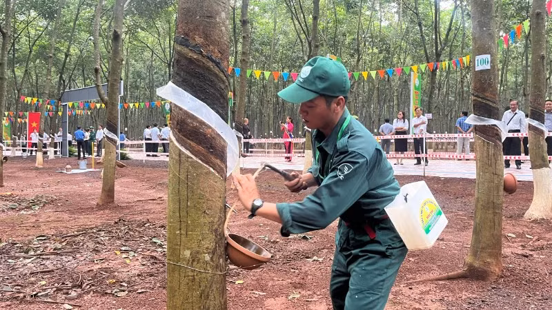 Dong Nai Rubber Industry Honors Skilled Workers, Aims for Over 32,000 Tons