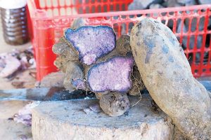 Philippines Halts Fresh Ube Exports to Boost Domestic Cultivation