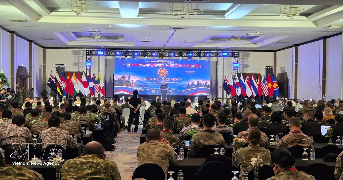 Vietnam Joins ADMM+ Multinational Exercise, Boosting Regional Security