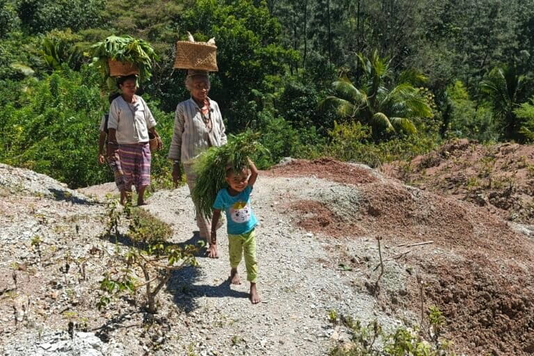 環境ジャーナリズム支援プログラム、インドネシアで若手育成へ