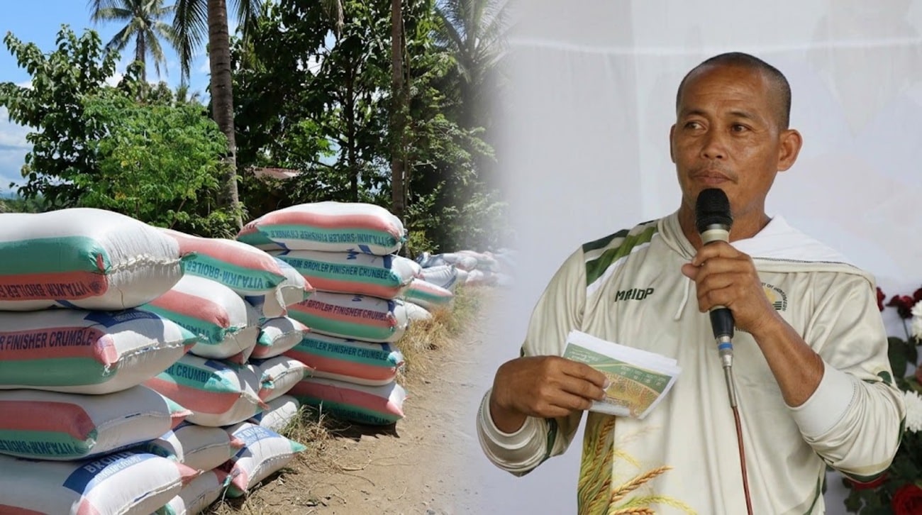 Agusan Farmer Projects P882K Income from Hybrid Rice Farm