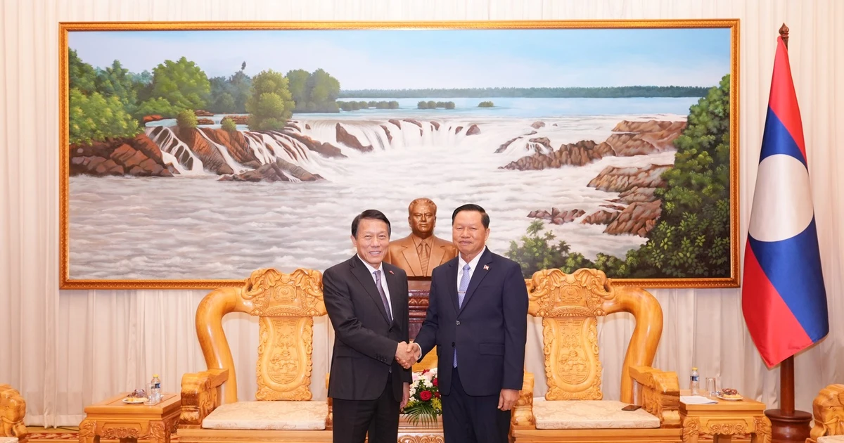 Vietnam, Laos Boost Cooperation Against Transnational Crime