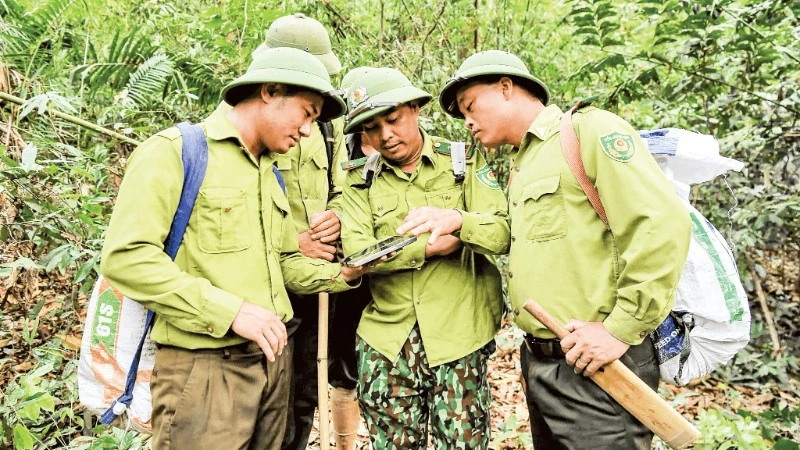 Vietnam's Pu Mat National Park Embraces Technology for Forest Protection