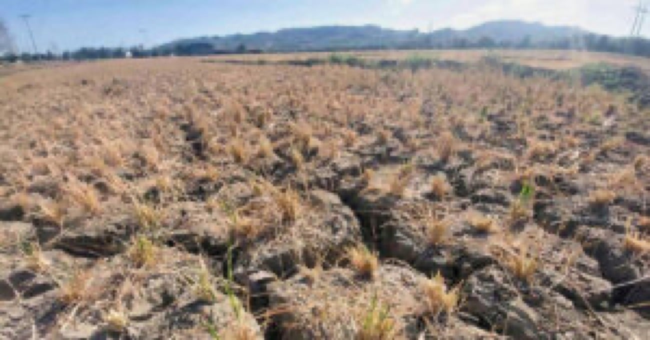 Mimaropa, Kalayaan Islands Face Dry Conditions by November, Pagasa Warns