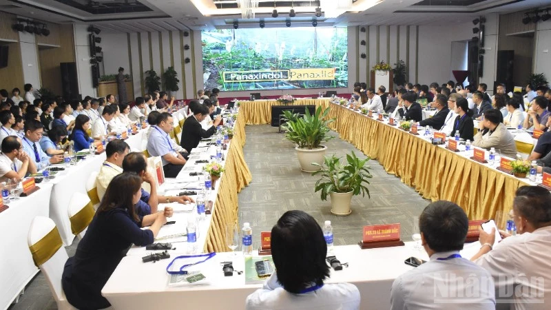 Da Nang Aims to Enhance Value of Ngoc Linh Ginseng with International Conference