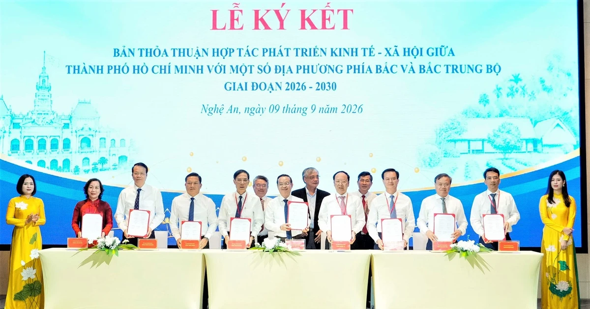 Ho Chi Minh City and Northern/North-Central Regions Strengthen Cooperation for Socio-Economic Development