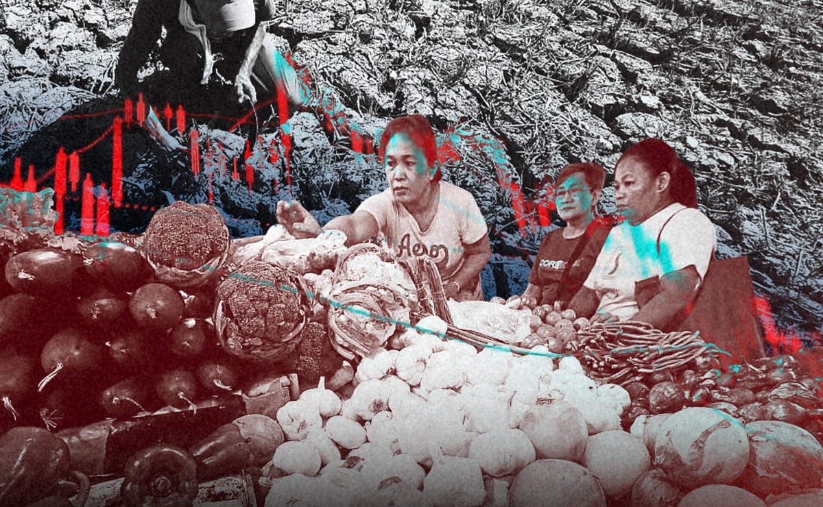 Strong El Niño May Drive Up Food, Power Costs in 2027, Economist Warns