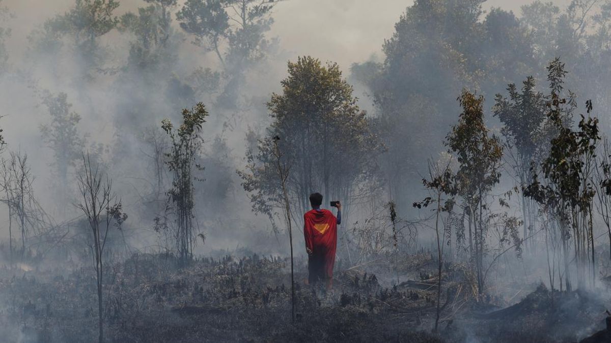 Forest Fires in Kapuas, Indonesia, Hampered by Difficult Terrain