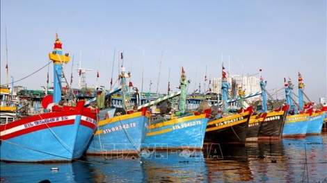 Vietnam Mobilizes Nationwide Efforts to Combat IUU Fishing and Lift EC 'Yellow Card'