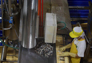 Philippine Factory Output Surges 10.1% in June Driven by Refined Petroleum, Food, Transport Equipment