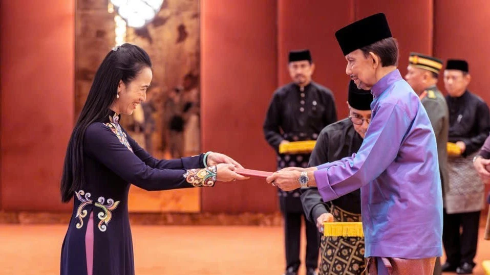 New Vietnamese Ambassador Presents Credentials to Brunei Sultan, Boosting Bilateral Ties