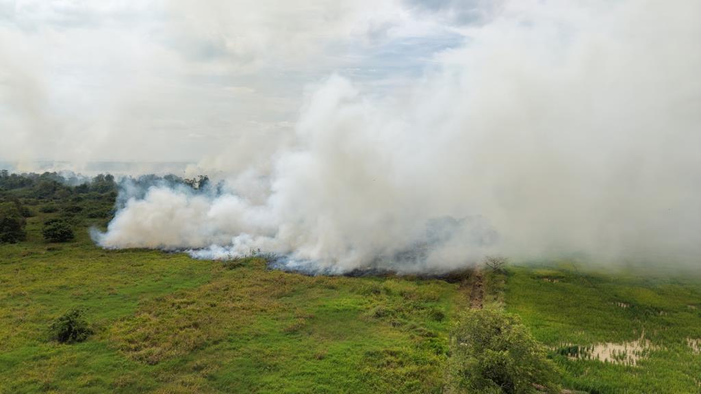 Southern Thailand Forest Fire Rages On for 5th Day, Impacting Elderly and Children