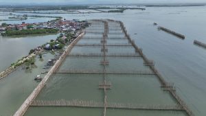 Nature-based Flood Control Strategy for Bulacan, Pampanga Slated for 2027 Rollout