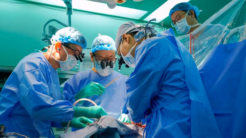 HCM City University Medical Center Successfully Performs Multi-Organ Transplants from Brain-Dead Donor, Saving Multiple Lives