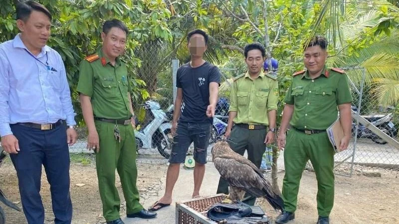 ベトナム・ヴィンロン省、野生鳥類不法飼育で男性を罰金処分