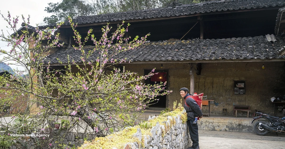 Vietnam Leverages Cultural Heritage for Soft Power Boost Through Tourism