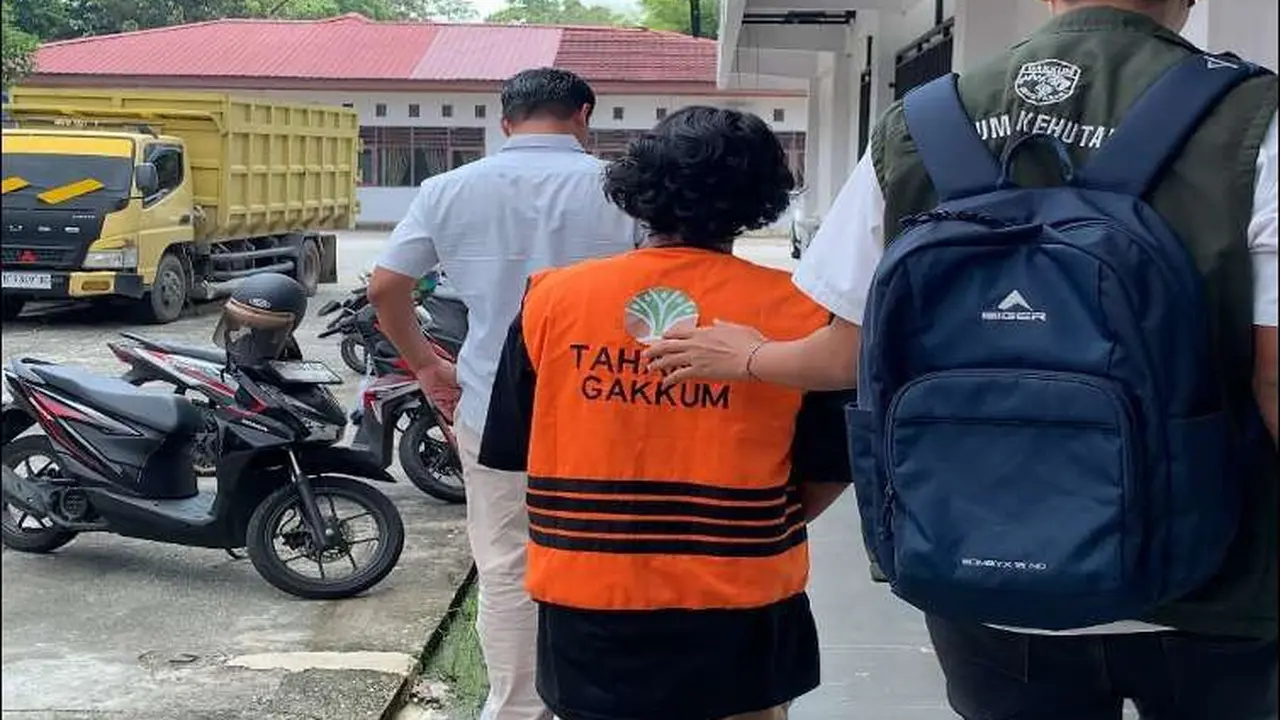 Three Suspects Arrested for Illegal Logging in Sumatran Tiger Habitat