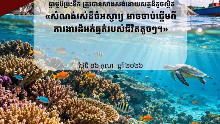 カンボジア沿岸のサンゴ礁:小さな命が育む生態系の危機と未来への希望