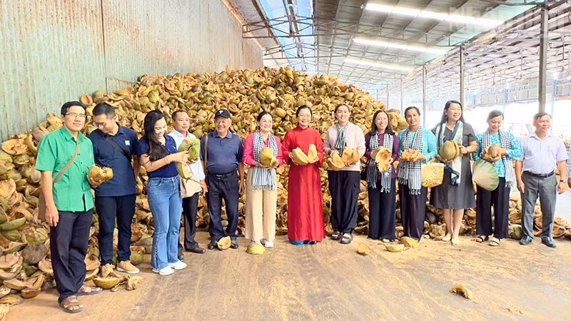 Vinh Long Accelerates Preparations for International Coconut Industry Conference CocoNext 2026