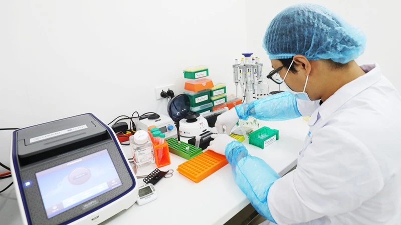 ベトナム、遺骨DNA鑑定技術で国際協力の道開く