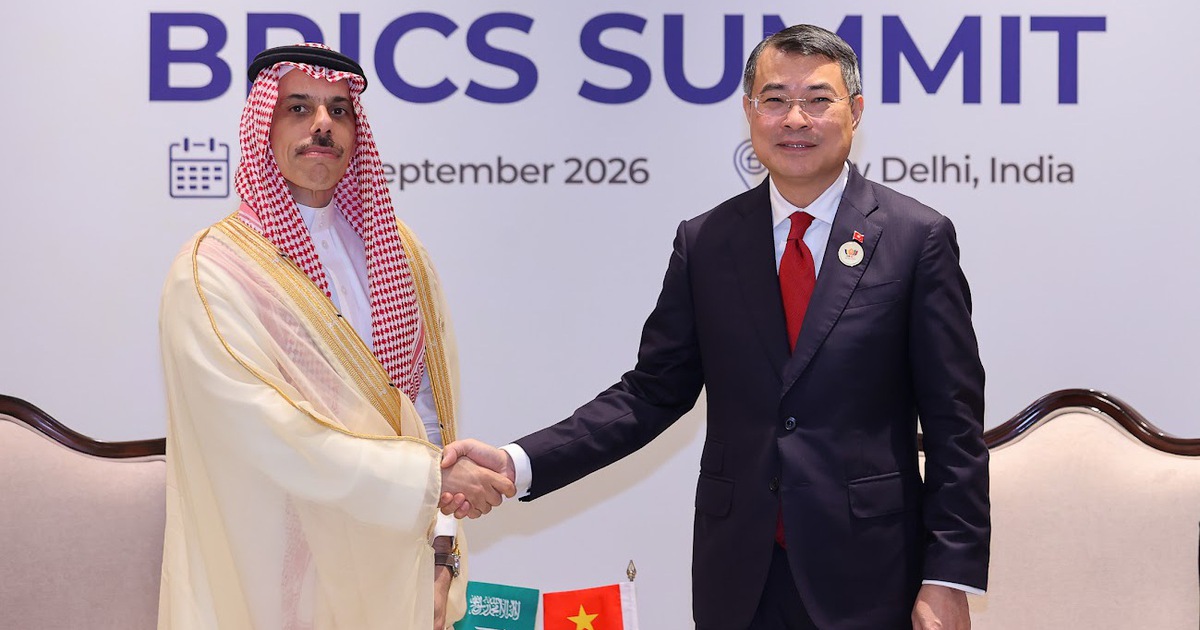 Vietnam Eyes Stronger Energy Cooperation with Saudi Arabia