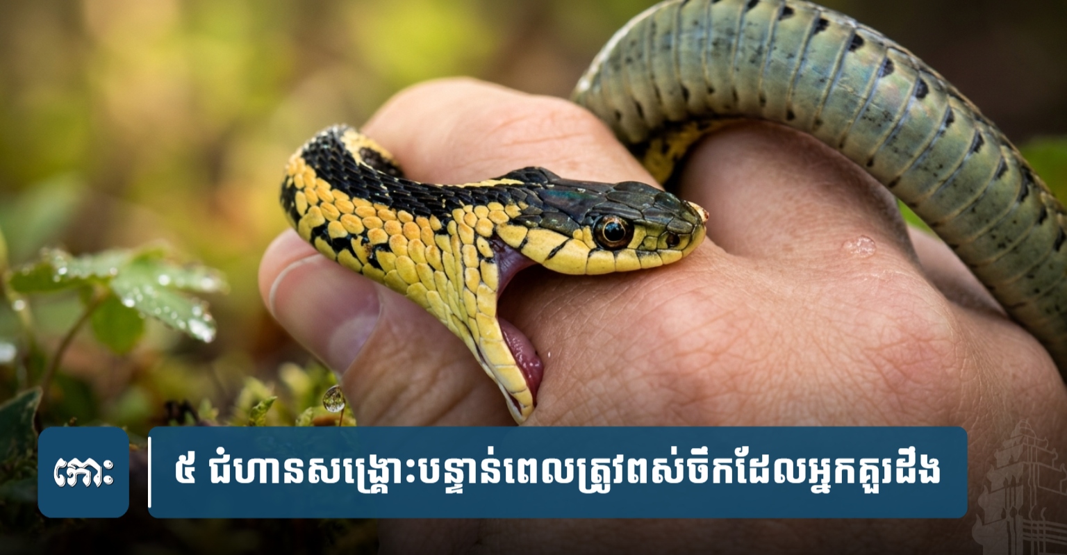 カンボジアで増加するヘビ咬傷、緊急時の対応と予防策の重要性