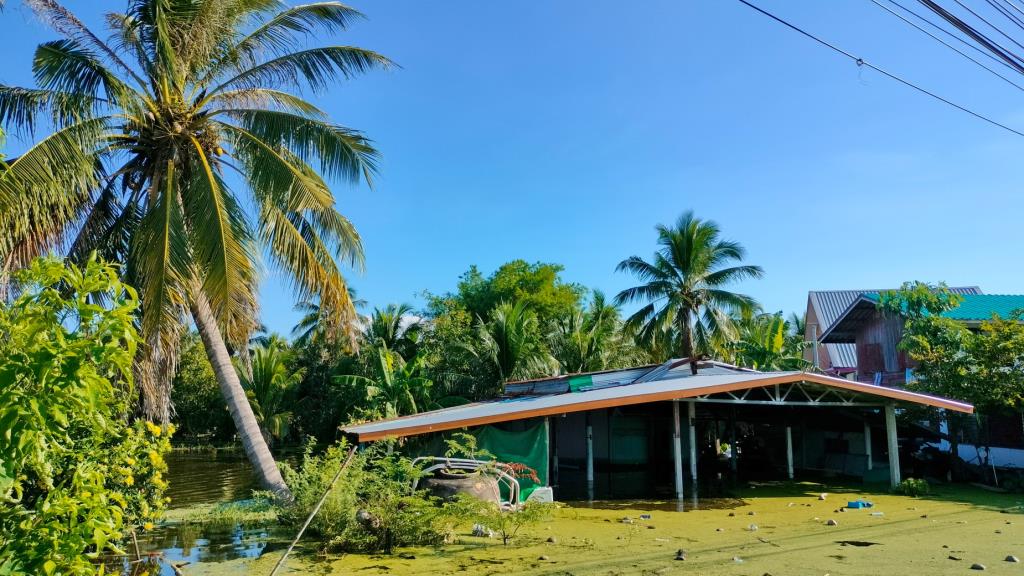 Thailand's Southeast Hit by Record Floods, Devastating Aquaculture