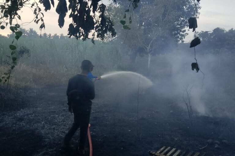 Long Drought, Forest Fires Threaten Water Crisis in Java