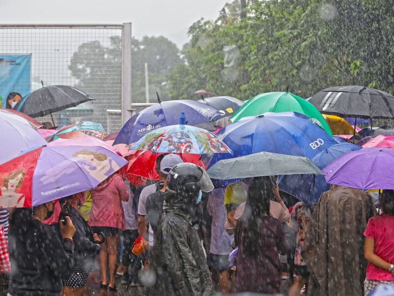 台風「インディ」とモンスーン、授業停止相次ぐ