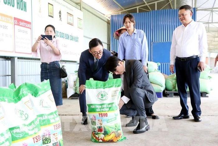 Hai Phong Partners with RoK Firms on Environmental Technology Project
