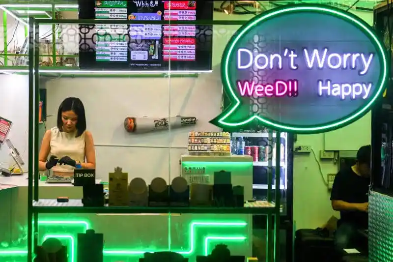 タイ政府、大麻規制を強化へ:医療用モデルへの回帰が鮮明に