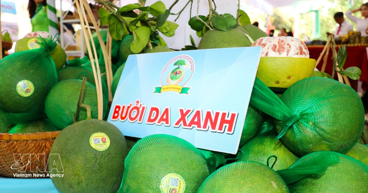 Vietnam's Agro-Forestry-Fishery Exports Poised for Stronger Growth: H1 Performance and Future Outlook