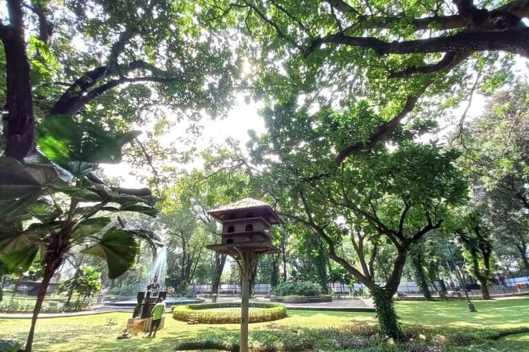 Observing Birds to Assess Urban Green Space Quality in Jakarta