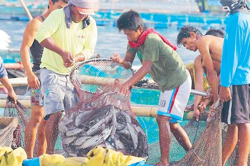 DA Plots Long-Term Plans to Boost Agricultural-Fisheries Sector