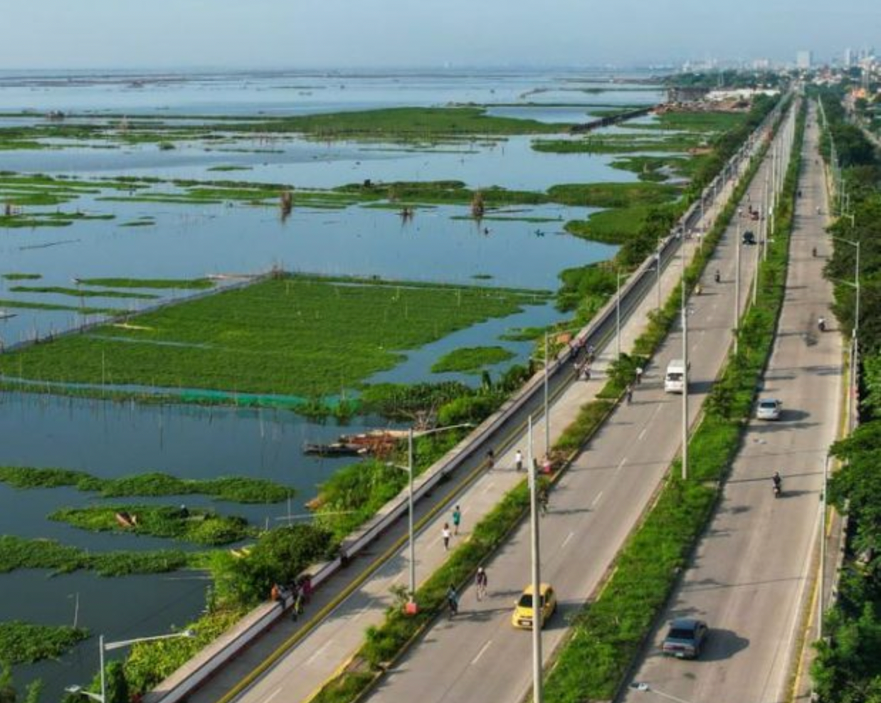 Fisherfolk group backs probe into Laguna Lake reclamation