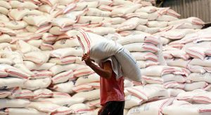 Philippines Rice Stocks Down 8% in Early September, Corn Up 47%