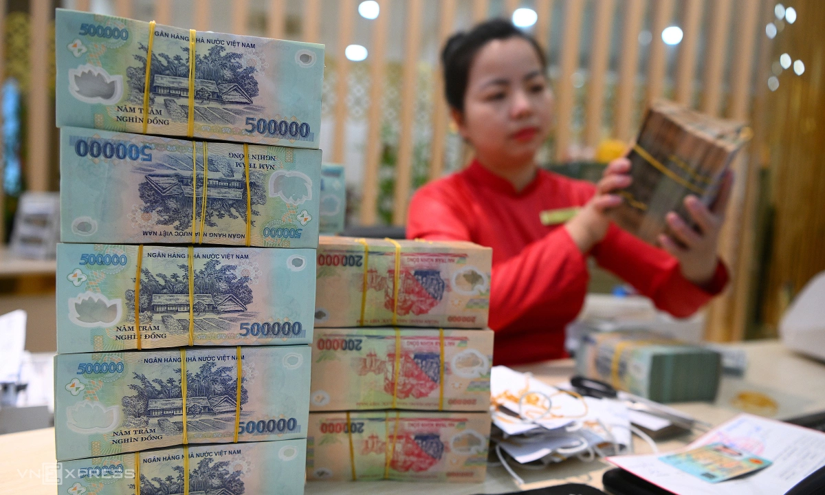 Vietnam's Savings Dilemma: Security vs. Growth