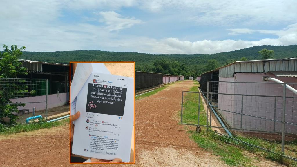 Thai Chicken Farms Face Weekly Inspections Amid Export Country Complaints