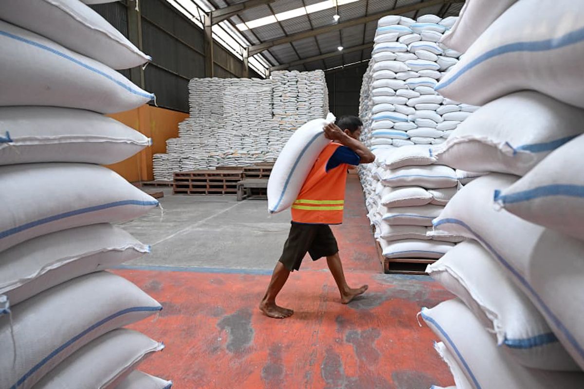 Bapanas Assures El Nino Won't Impact Indonesia's Food Security