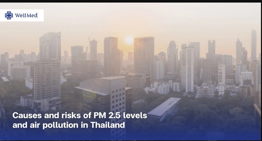 Thailand Reports Progress in PM2.5 Pollution Control via Sugarcane Burning Reduction
