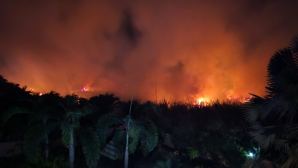 Cha-am Reed Fire Threatens Homes, Over 200 Rai Burned