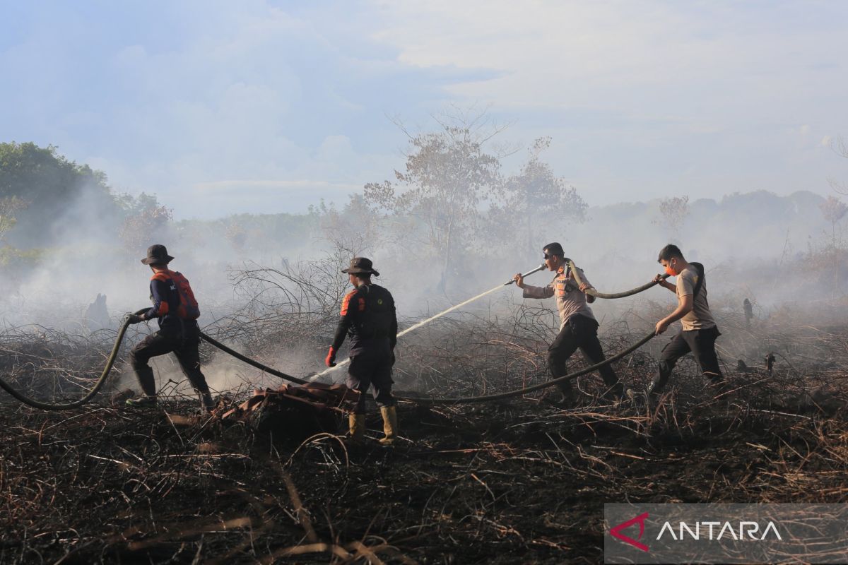 インドネシア、山火事対策で「計画的焼却」導入を検討