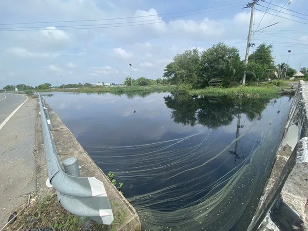 Bang Len Residents Fearful as Canal Turns Black, Fish Die Over 5km; Factory Wastewater Suspected