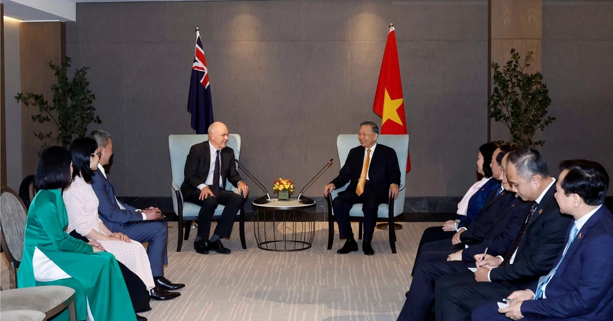 Vietnam's Top Leader Meets New Zealand Friendship Association